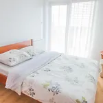 Zolta 3*