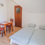 Zolta Władysławowo