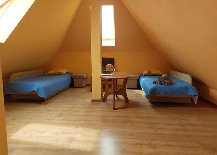 Zolta Władysławowo